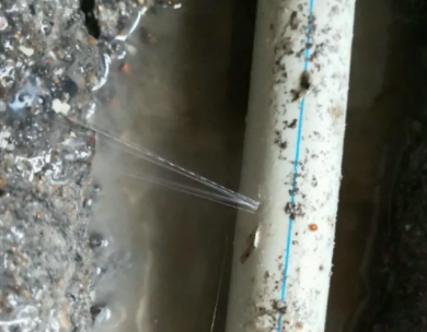 横峰测漏水哪家好