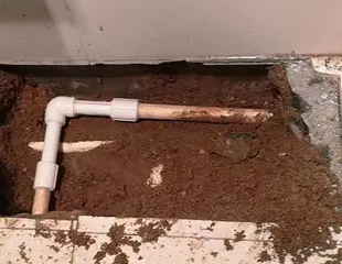 横峰测漏水哪家好