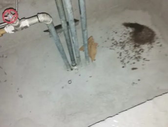 横峰卫生间测漏水价格明细