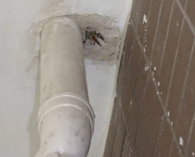 横峰漏水检测哪家好